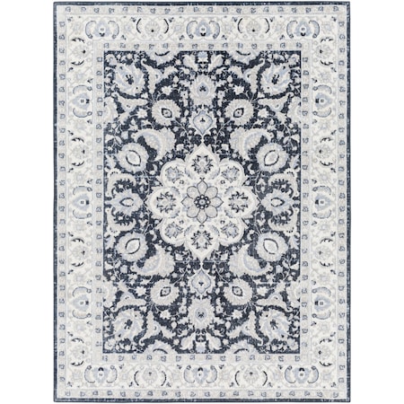 Livabliss Lavadora LVR-2353 Machine Washable Area Rug LVR2353-679